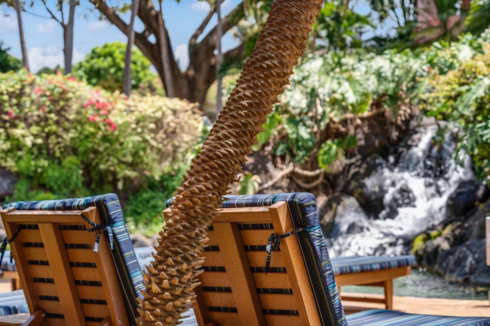 Kahana Falls Resort Napili-Honokowai Ngoại thất bức ảnh